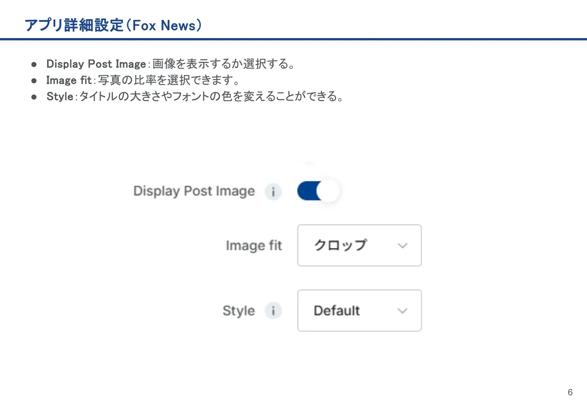 Fox Newsの画面。Display Post Image：画像を表示するか選択する。