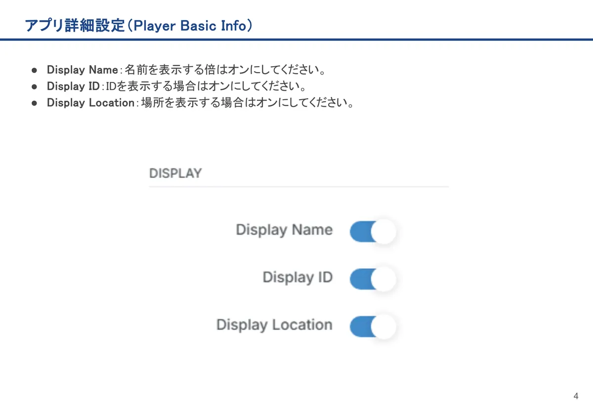 Player Basic Infoの画面。Display Name:名前を表示する場合はオンにしてください。